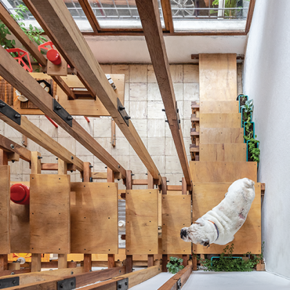 La cueva de la mini bestia