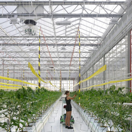 Agrotopía: listo el edificio más grande de Europa