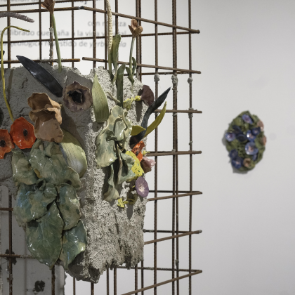 Raffaella Descalzi: Cultivos ornamentales [floración desmalezadora]